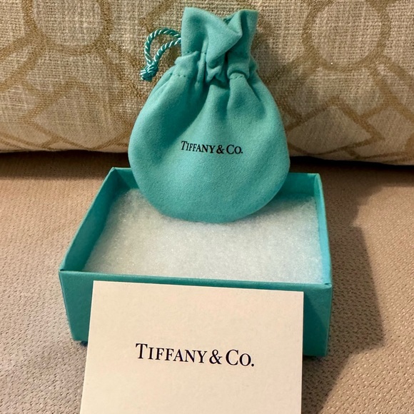 *BRAND NEW* Tiffany HardWear Small Link Bracelet in Sterling Silver - Picture 4 of 7